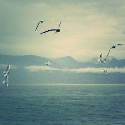 体育皇冠官网下载app