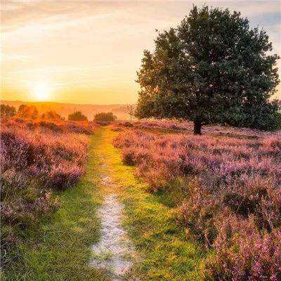 leyu·乐鱼(中国)体育下载手机版